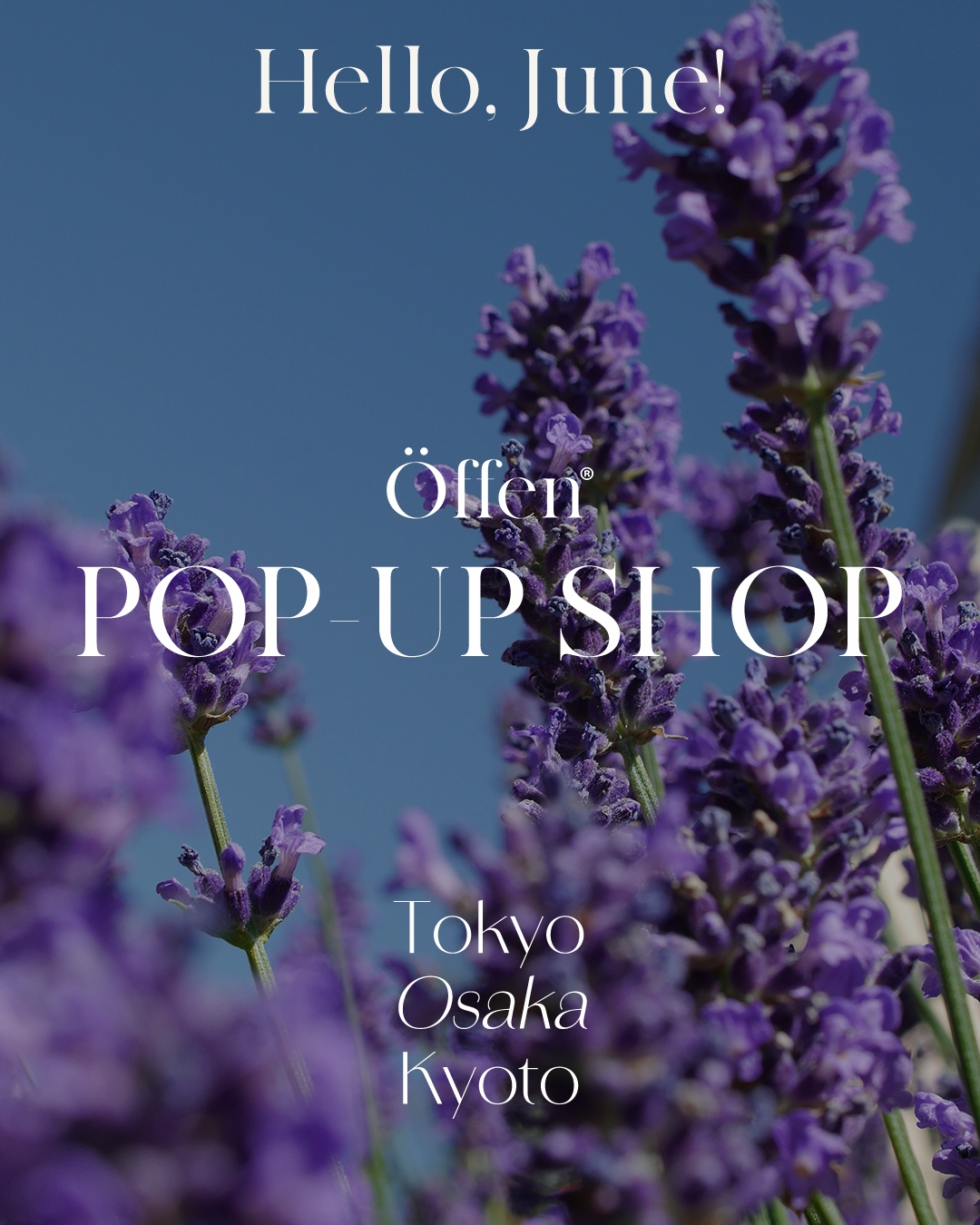 2025/06】 POP-UP SHOP | Öffen（オッフェン）公式通販｜サステナブル